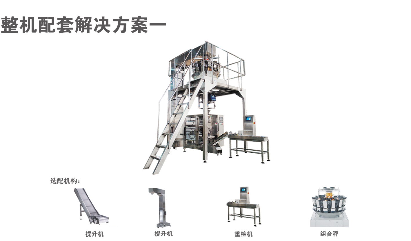 立式机配提升机电子秤下料整线解决方案